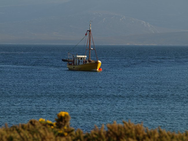 ../../Pictures/241209/101 nach West Point Island.JPG